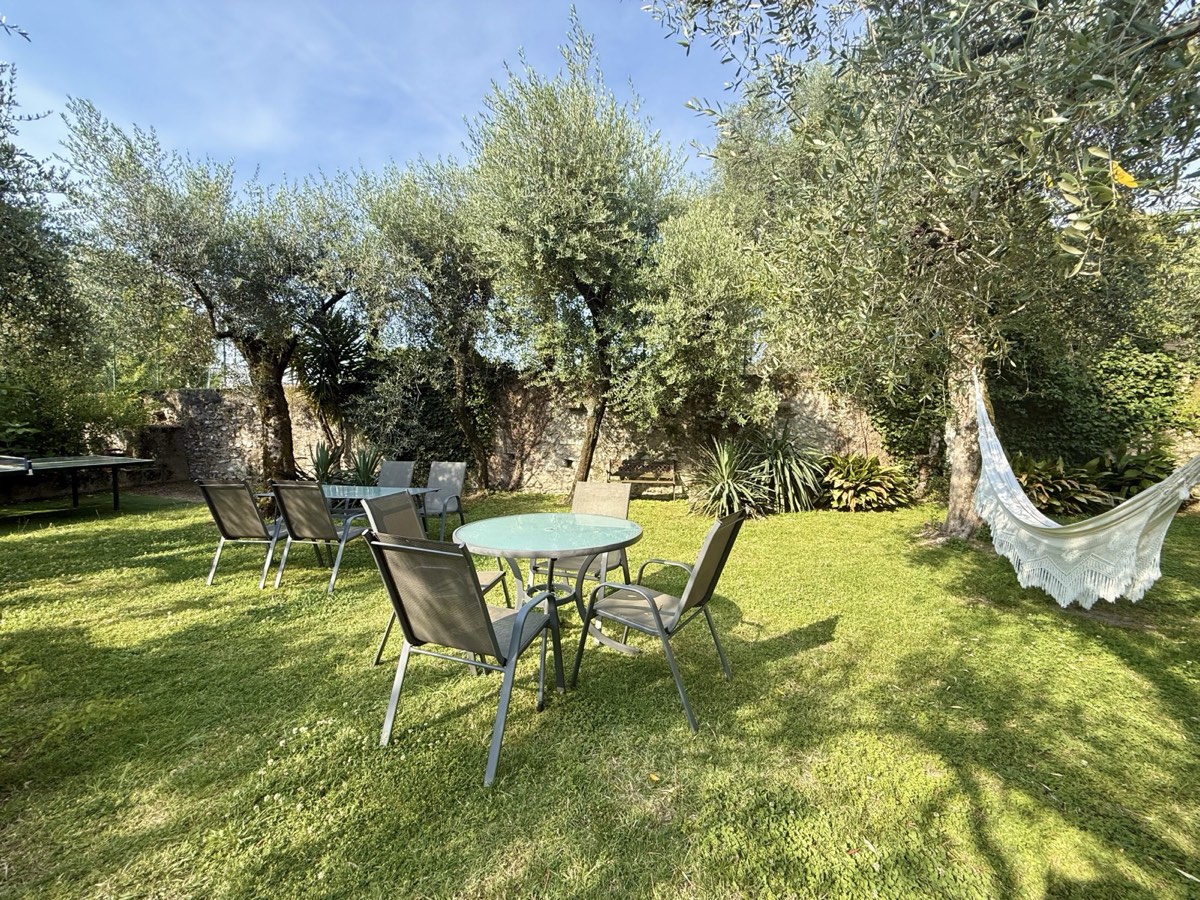 Giardino degli ulivi a Borgo Antico
