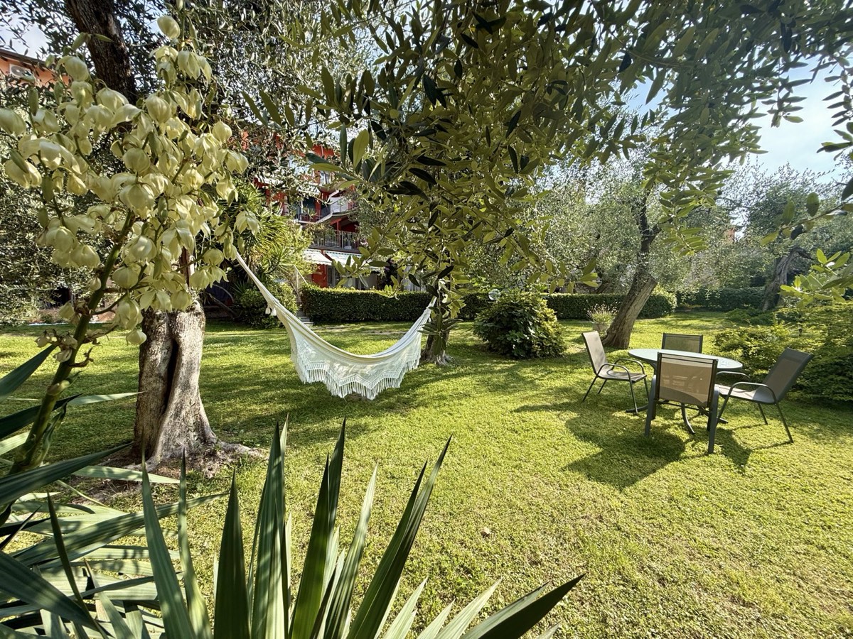 Giardino degli ulivi a Borgo Antico