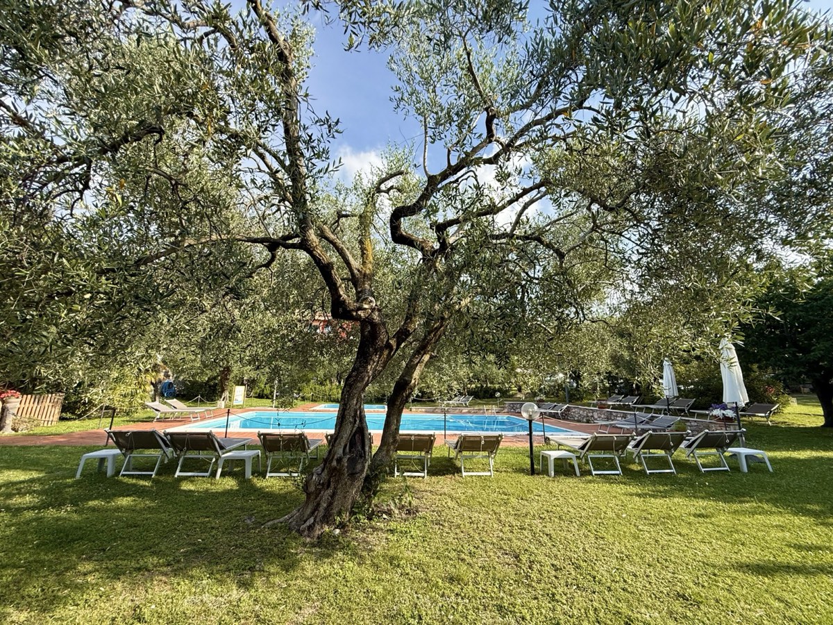 Piscina e giardino degli ulivi